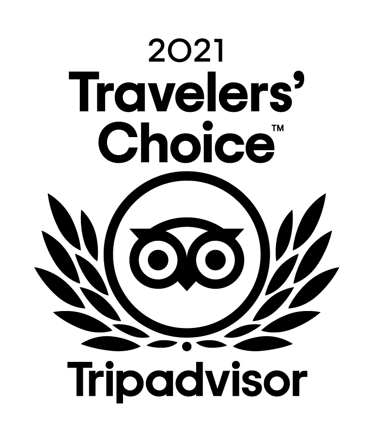 TRAVELLER OF CHOICE TRIPADVISOR